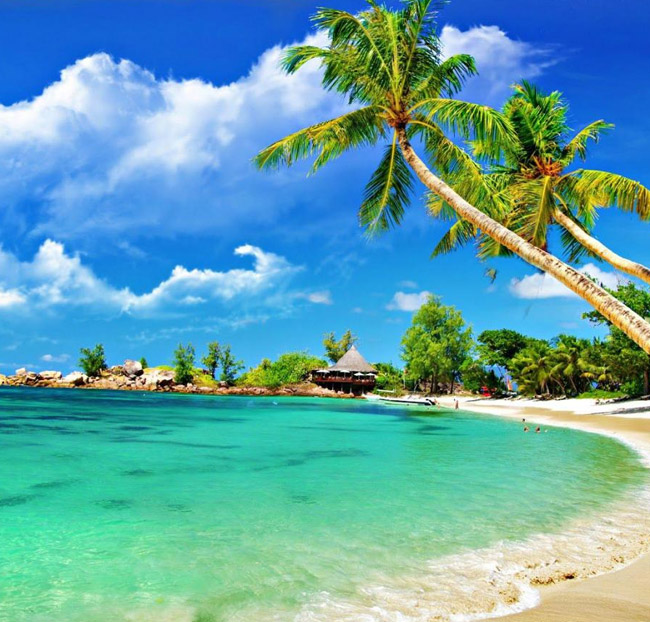 Tour Đảo Nam Du 2N2Đ - Hòn Mấu - Tiệc BBQ Hải Sản - BD010. Voucher 2,650,000 VNĐ, Còn 1,990,000 VNĐ, Giảm 25%. Chỉ Có Tại Hotdeal.vn!