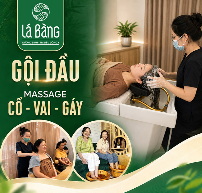 Dưỡng Sinh - Đông Y Lá Bàng - Gội Đầu Dưỡng Sinh + Massage Cổ Vai Gáy. Voucher 149,000 VNĐ, Còn 89,000 VNĐ, Giảm 40%. Chỉ Có Tại Hotdeal.vn!