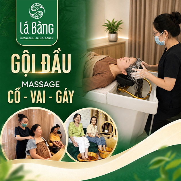 Dưỡng Sinh - Đông Y Lá Bàng - Gội Đầu Dưỡng Sinh + Massage Cổ Vai Gáy. Voucher 149,000 VNĐ, Còn 89,000 VNĐ, Giảm 40%. Chỉ Có Tại Hotdeal.vn!
